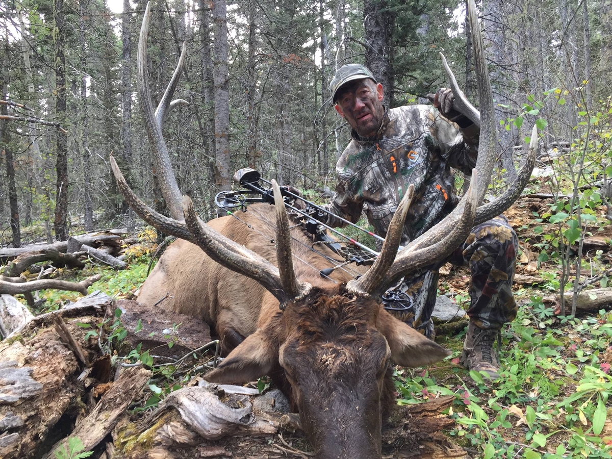 Public Land Elk Hunts
